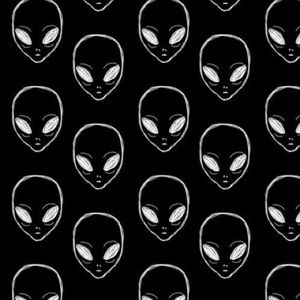 Meet your Posher, Dennis